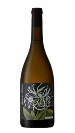 2021-Botanica Chenin Blanc White