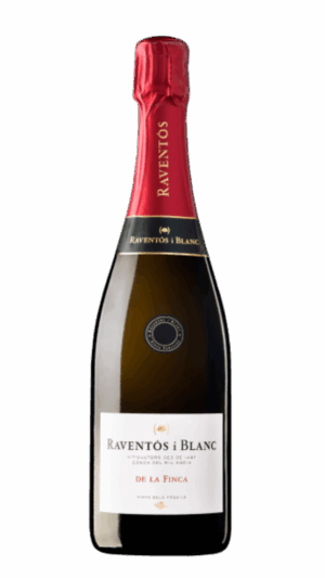 2021-Raventos i Blanc Conca del Riu Anoia Brut de la Finca Blanco