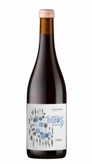 2022-Artisans Partisans Cinsault La Mature dit Toujours Quelque Chose Rouge