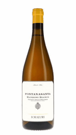 2022-Foradori Manzoni Fontanasanta Bianco
