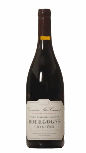 2022-Meo Camuzet Cote d'Or Cuvee Etienne Bourgogne Rouge