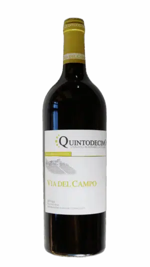 2022-Quintadecimo Via del Campo Irpinia Falanghina Campania Bianco
