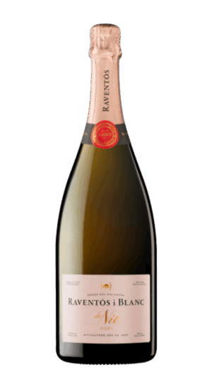 2022-Raventos i Blanc de Nit Conca del Riu Anoia Rosado MAGNUM