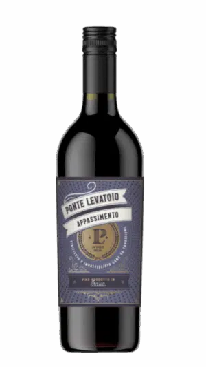 2022-Tollo Ponte Levatoio Appassimento Terre di Chieti Rosso *