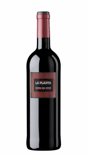 2023-Arzuaga Ribera del Duero La Planta Tinto MAGNUM