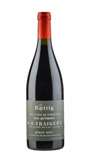2023-Baettig Los Parientes Pinot Noir Tinto *