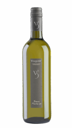 2023-Carminucci Marche Viabore Bianco