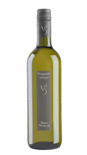 2023-Carminucci Marche Viabore Bianco