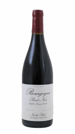 2023-Nicolas Potel Bourgogne Pinot Noir Rouge *