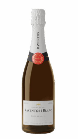 2023-Raventos i Blanc Conca del Riu Anoia Blanc de Blancs Blanco