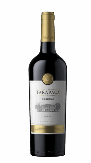 2023-Tarapaca Merlot Reserva Valle Central Tinto