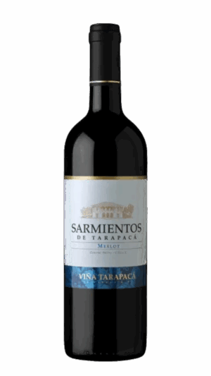 2023-Tarapaca Merlot Valle Central Tinto