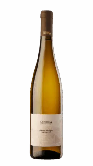 2024-Cembra Pinot Grigio Trentino Bianco