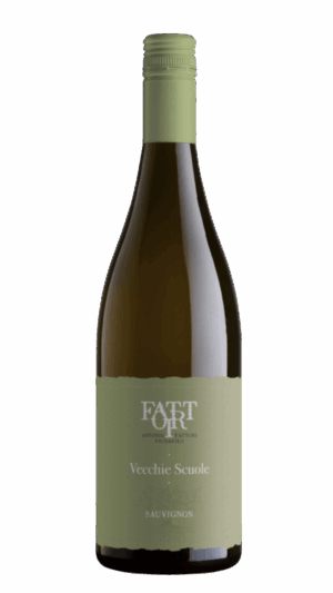 2024-Fattori Sauvignon Blanc Vecchie Scuole Trevenezie Bianco