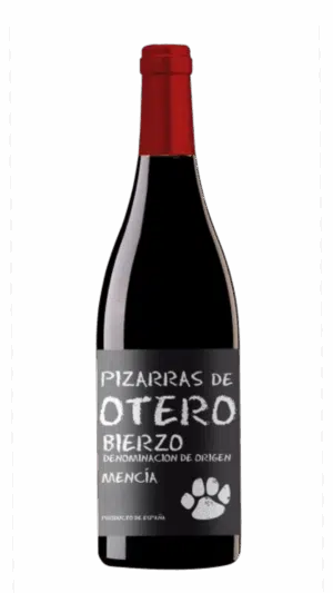 2024-Martin Codax Pizarras de Oteiro Mencia Bierzo Tinto