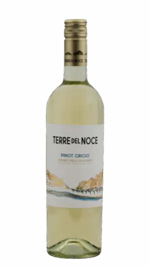 2024-Mezzacorona Terre del Noce Pinot Grigio Bianco