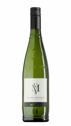 2024-Muret Picpoul de Pinet Blanc