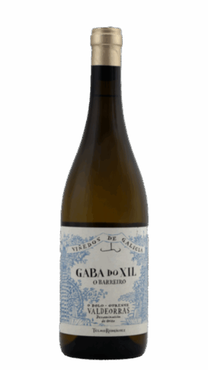 2024-Telmo Rodriguez Gabo do Xil o Barreiro Valdeorras Blanco