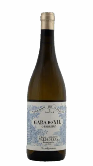 2024-Telmo Rodriguez Gabo do Xil o Barreiro Valdeorras Blanco