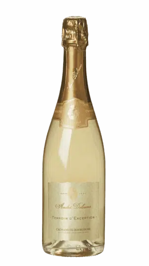 NV-Andre Delorme Cremant de Bourgogne Brut Blanc de Blancs