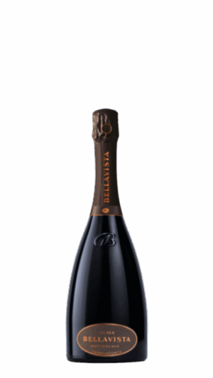 NV-Bellavista Franciacorta Alma Assemblage 1 Brut Bianco HALVE FLES