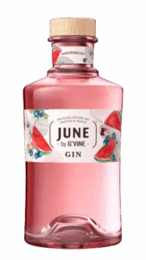NV-G-Vine June Pasteque Gin