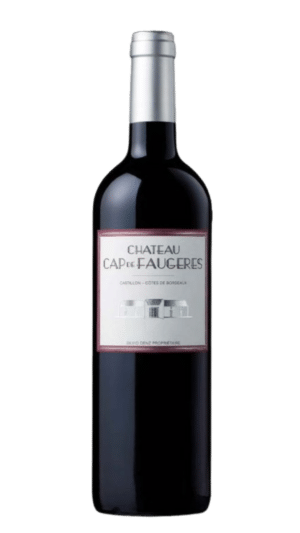 2019-Cap de Faugeres Castillon-Cotes de Bordeaux Rouge