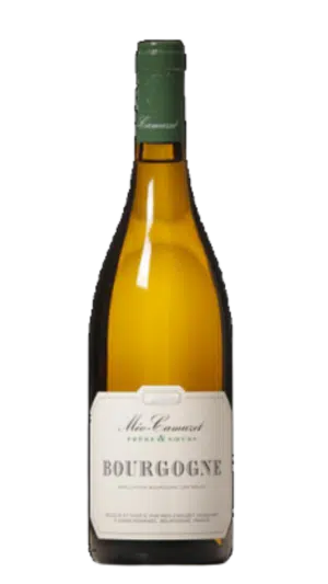 2019-Meo Camuzet Ladoix Bourgogne Blanc