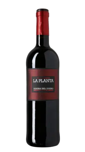 2023-Arzuaga Ribera del Duero La Planta Tinto *