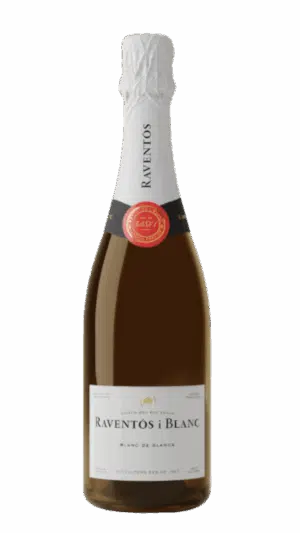 2023-Raventos i Blanc Conca del Riu Anoia Blanc de Blancs Blanco