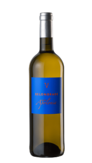 2024-Belondrade Apolonia Verdejo Blanco