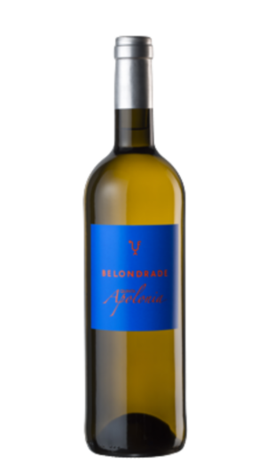 2024-Belondrade Apolonia Verdejo Blanco