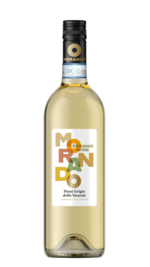 2024-Campagnola Morando Pinot Grigio Bianco *