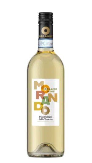2024-Campagnola Morando Pinot Grigio Bianco *