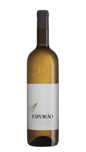 2019-Conceito Contraste Douro Branco