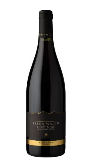 2020-Elena Walch Ludwig Pinot Noir Alto Adige Rosso