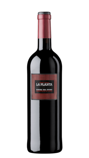 2022-Arzuaga Ribera del Duero La Planta Tinto MAGNUM
