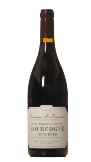 2022-Meo Camuzet Cote d'Or Cuvee Etienne Bourgogne Rouge