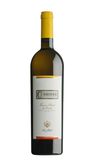 2022-Nino Negri Ca Brione Alpi Pietiche Bianco