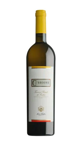 2022-Nino Negri Ca Brione Alpi Pietiche Bianco