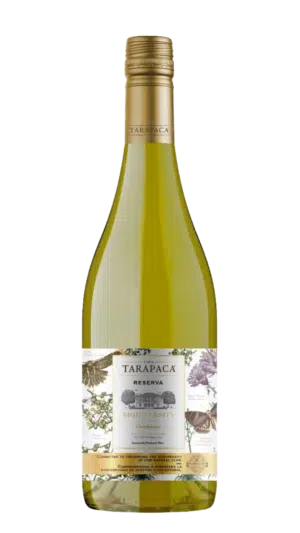 2022-Tarapaca Chardonnay Casablanca Reserva Blanco