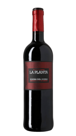 2023-Arzuaga Ribera del Duero La Planta Tinto *