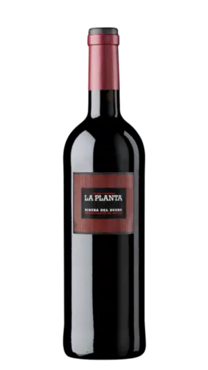 2023-Arzuaga Ribera del Duero La Planta Tinto MAGNUM
