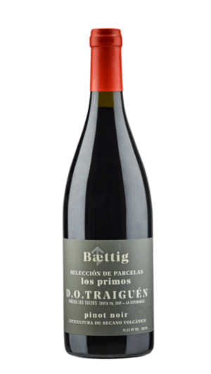 2023-Baettig Los Parientes Pinot Noir Tinto *
