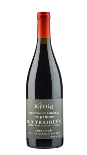 2023-Baettig Los Parientes Pinot Noir Tinto *