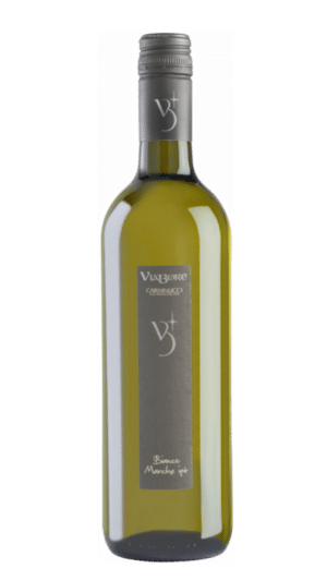 2023-Carminucci Marche Viabore Bianco