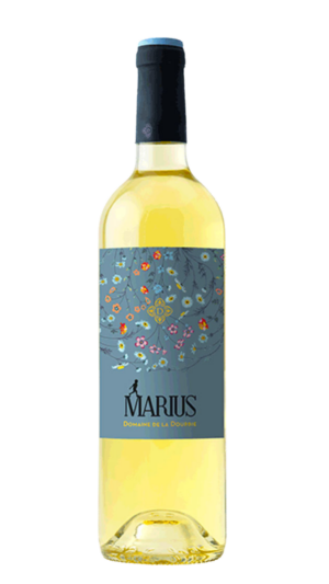 2023-Dourbie Marius Terret Blanc