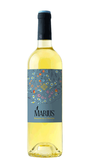 2023-Dourbie Marius Terret Blanc