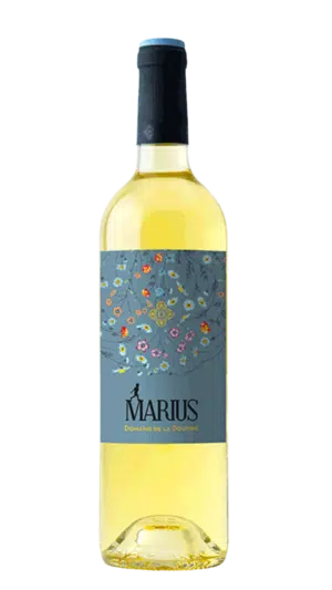 2023-Dourbie Marius Terret Blanc