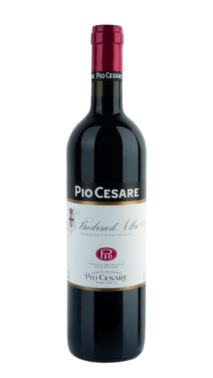 2023-Pio Cesare Barbera d'Alba Rosso